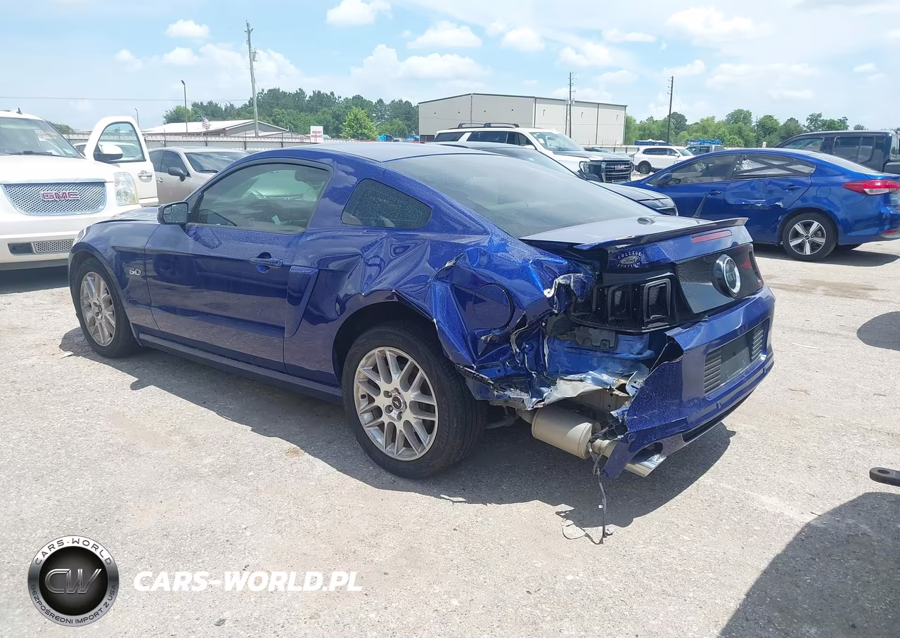 2013 Ford Mustang Gt Premium VIN:1ZVBP8CF2D5221107 - 3