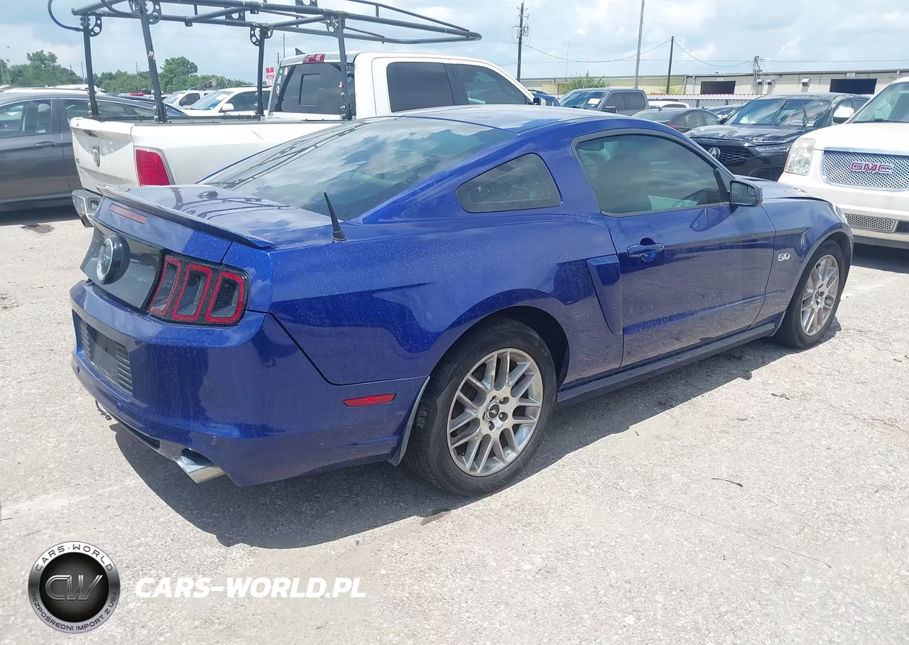 2013 Ford Mustang Gt Premium VIN:1ZVBP8CF2D5221107 - 4