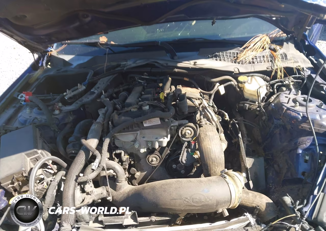 2015 Ford Mustang Ecoboost VIN:1FA6P8TH3F5335194 - 10