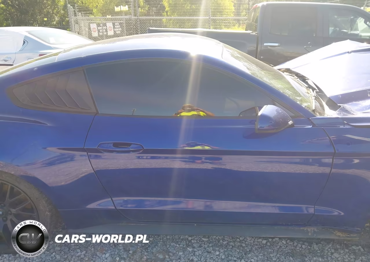 2015 Ford Mustang Ecoboost VIN:1FA6P8TH3F5335194 - 13