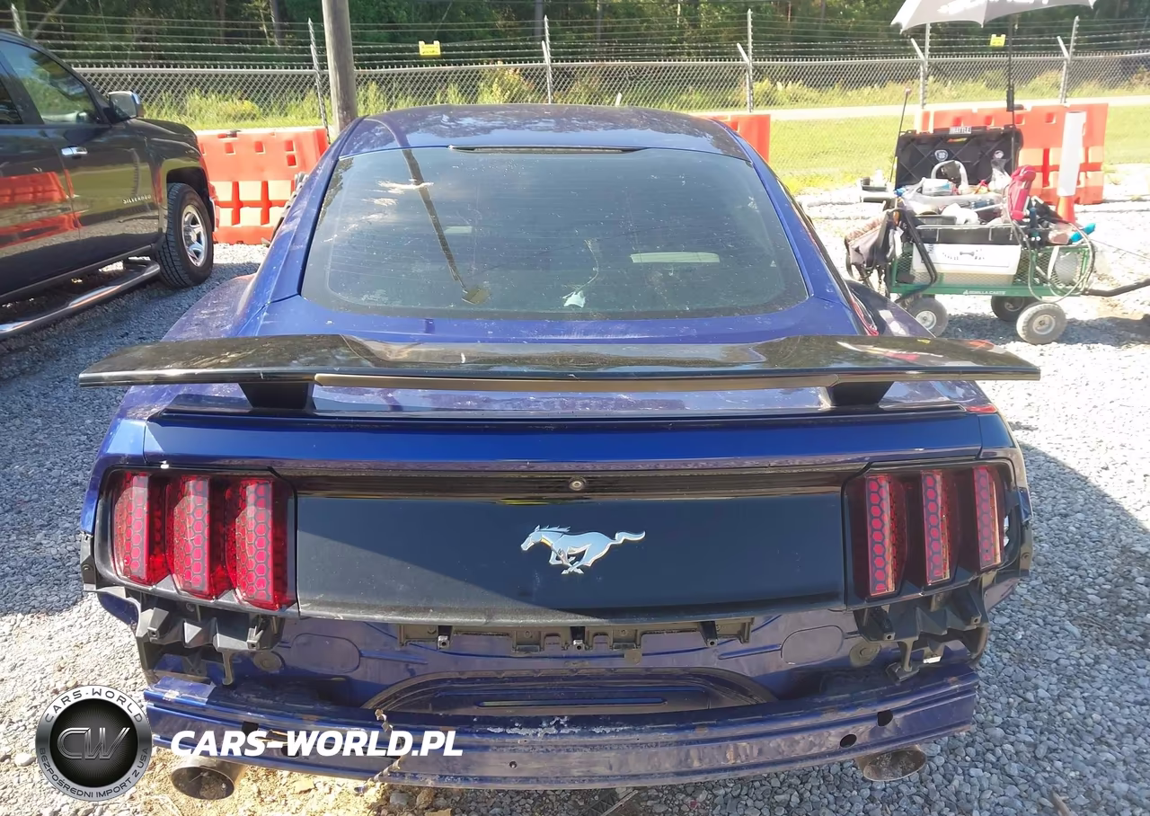 2015 Ford Mustang Ecoboost VIN:1FA6P8TH3F5335194 - 16