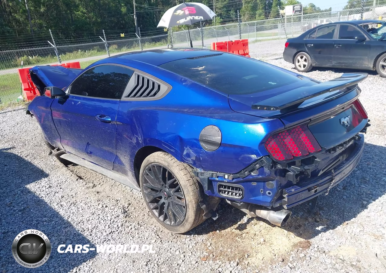 2015 Ford Mustang Ecoboost VIN:1FA6P8TH3F5335194 - 3