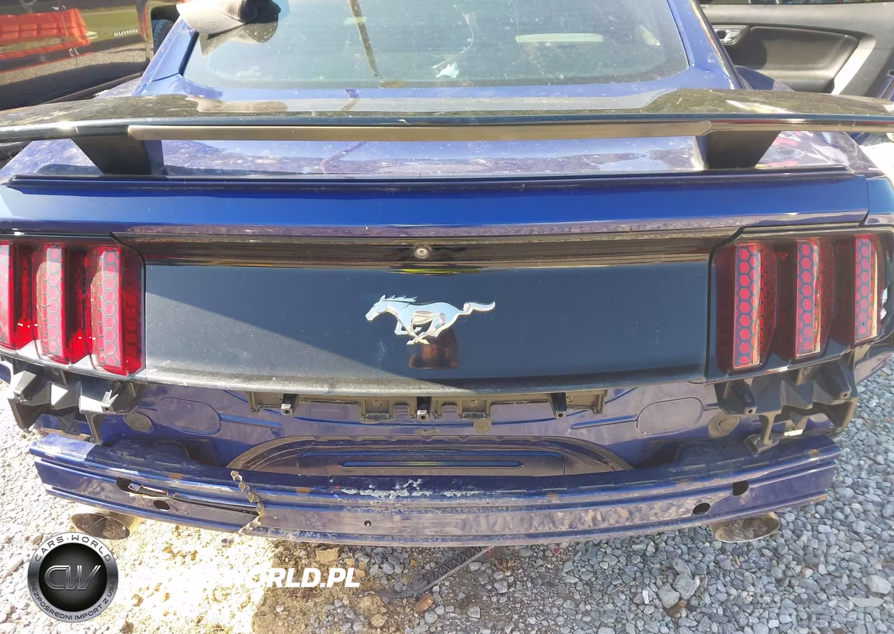 2015 Ford Mustang Ecoboost VIN:1FA6P8TH3F5335194 - 6