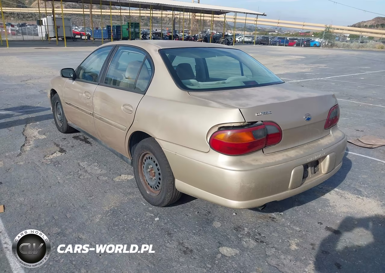 2005 Chevrolet Classic VIN:1G1ND52F55M103724 - 3