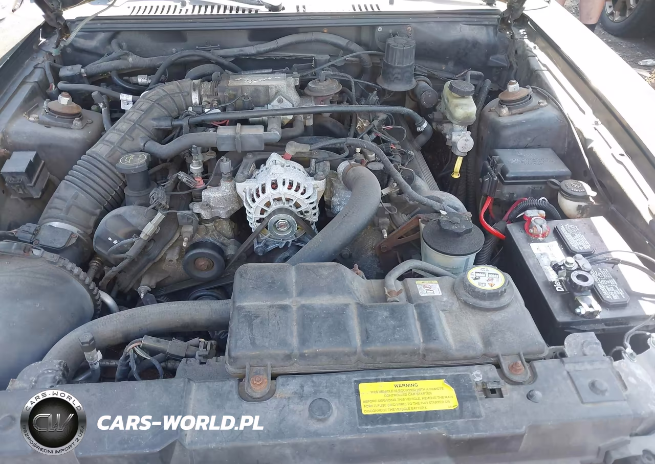 2003 Ford Mustang Gt VIN:1FAFP45XX3F354411 - 10