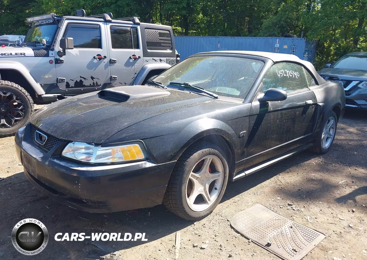 2003 Ford Mustang Gt VIN:1FAFP45XX3F354411 - 2
