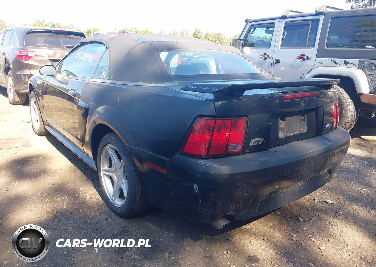 2003 Ford Mustang Gt VIN:1FAFP45XX3F354411 - 3