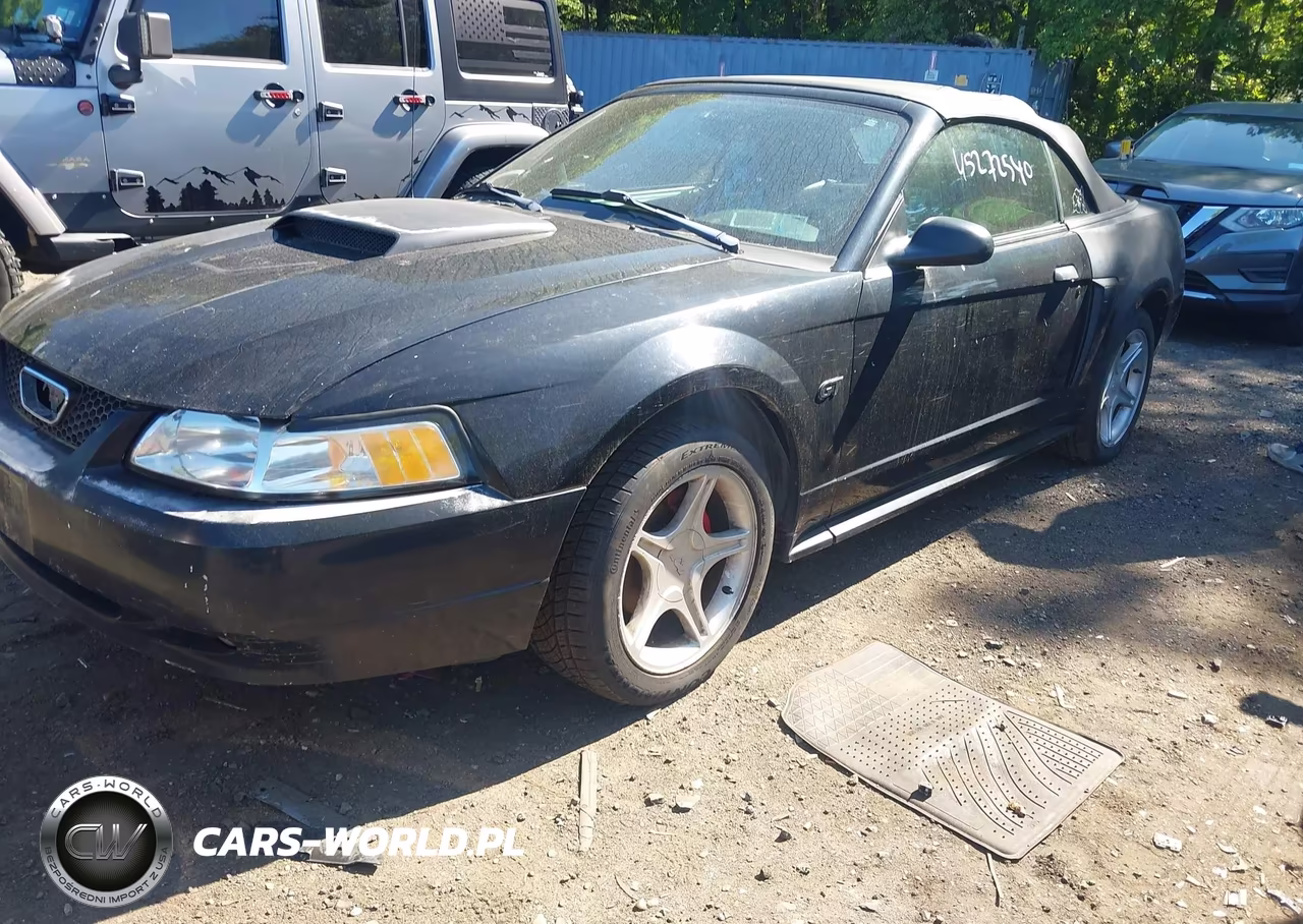 2003 Ford Mustang Gt VIN:1FAFP45XX3F354411 - 6