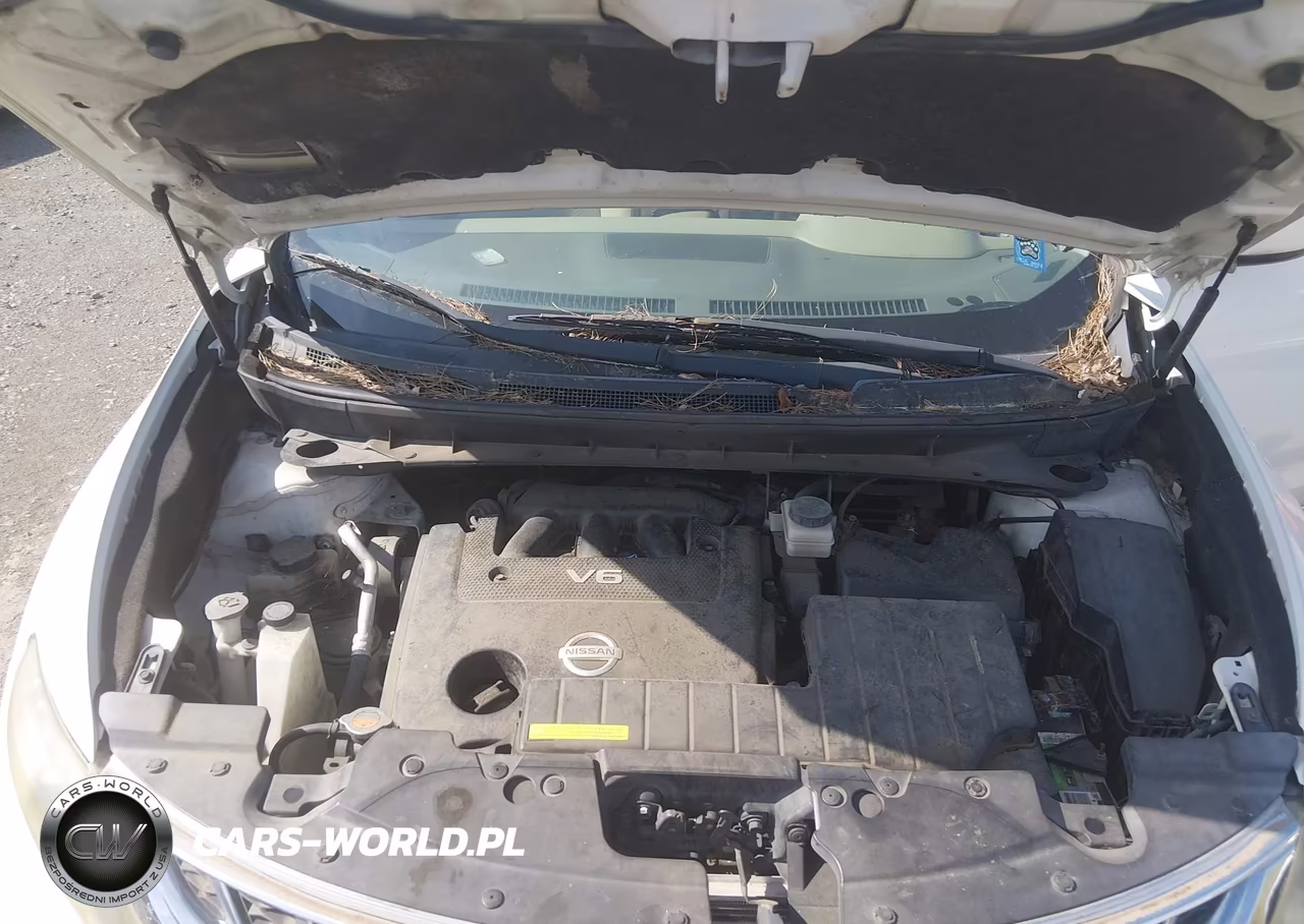 2013 Nissan Murano S VIN:JN8AZ1MU1DW211468 - 10