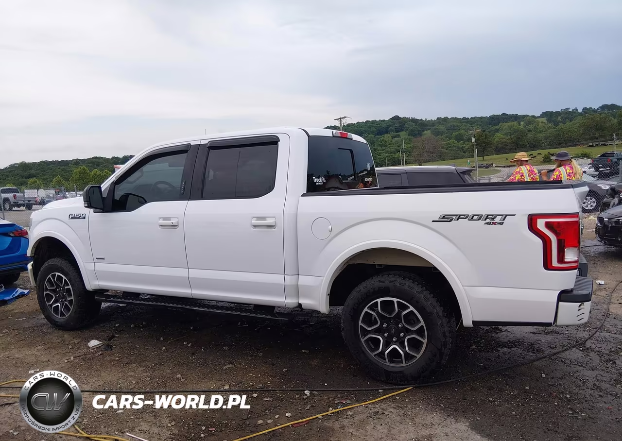 2017 Ford F-150 Xlt VIN:1FTEW1EP6HKD66352 - 14