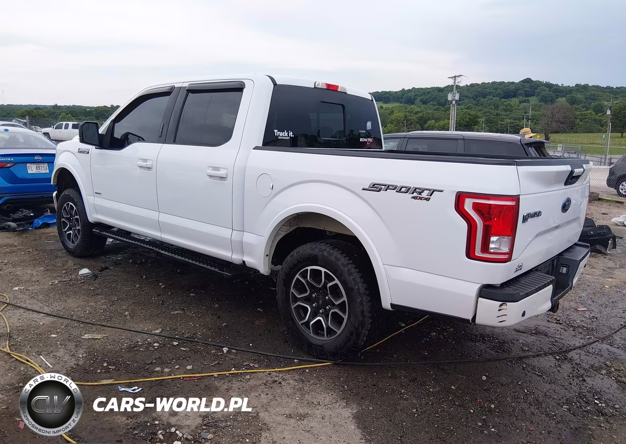 2017 Ford F-150 Xlt VIN:1FTEW1EP6HKD66352 - 3