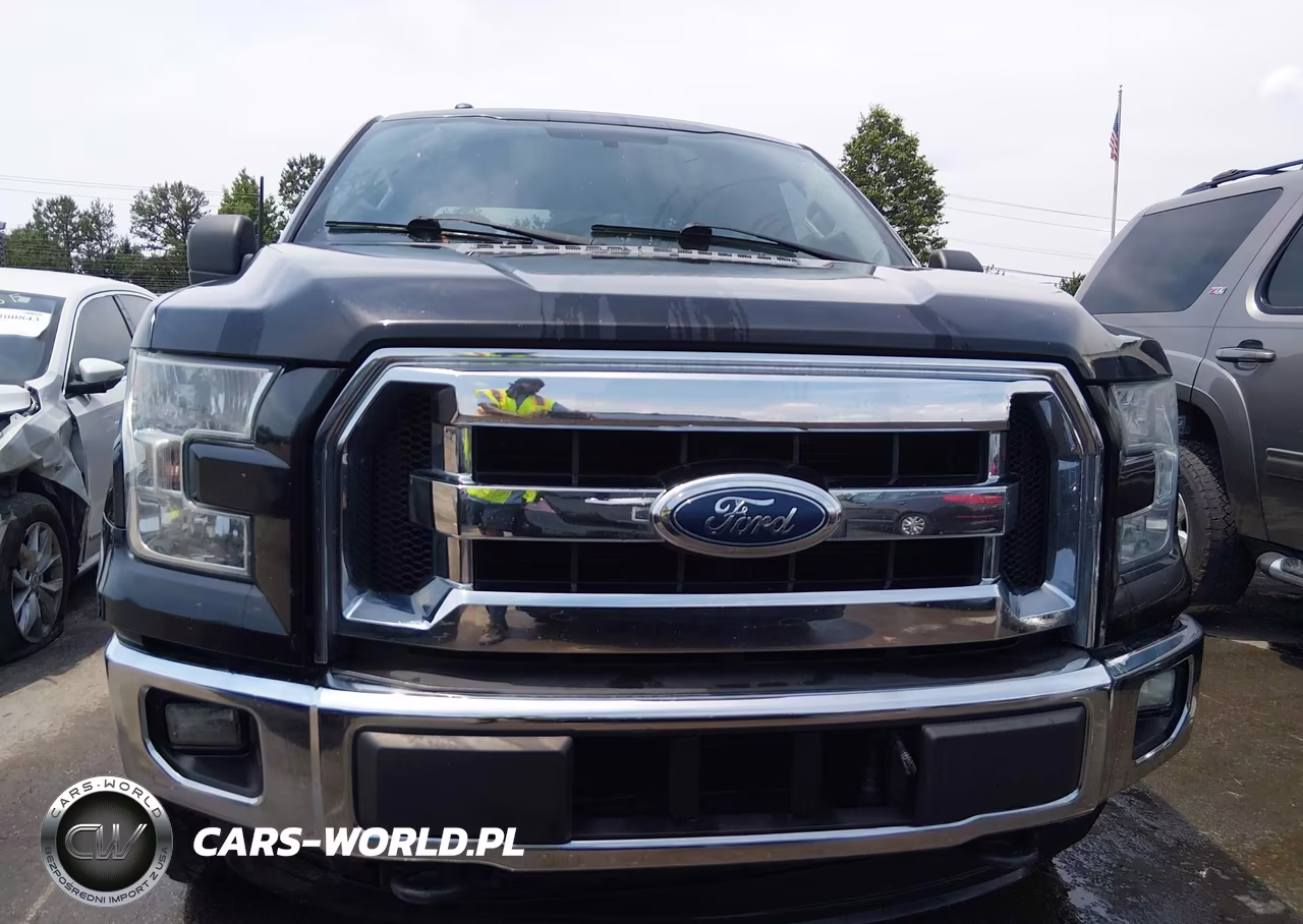 2015 Ford F-150 Xlt VIN:1FTFW1EG3FFA07227 - 12