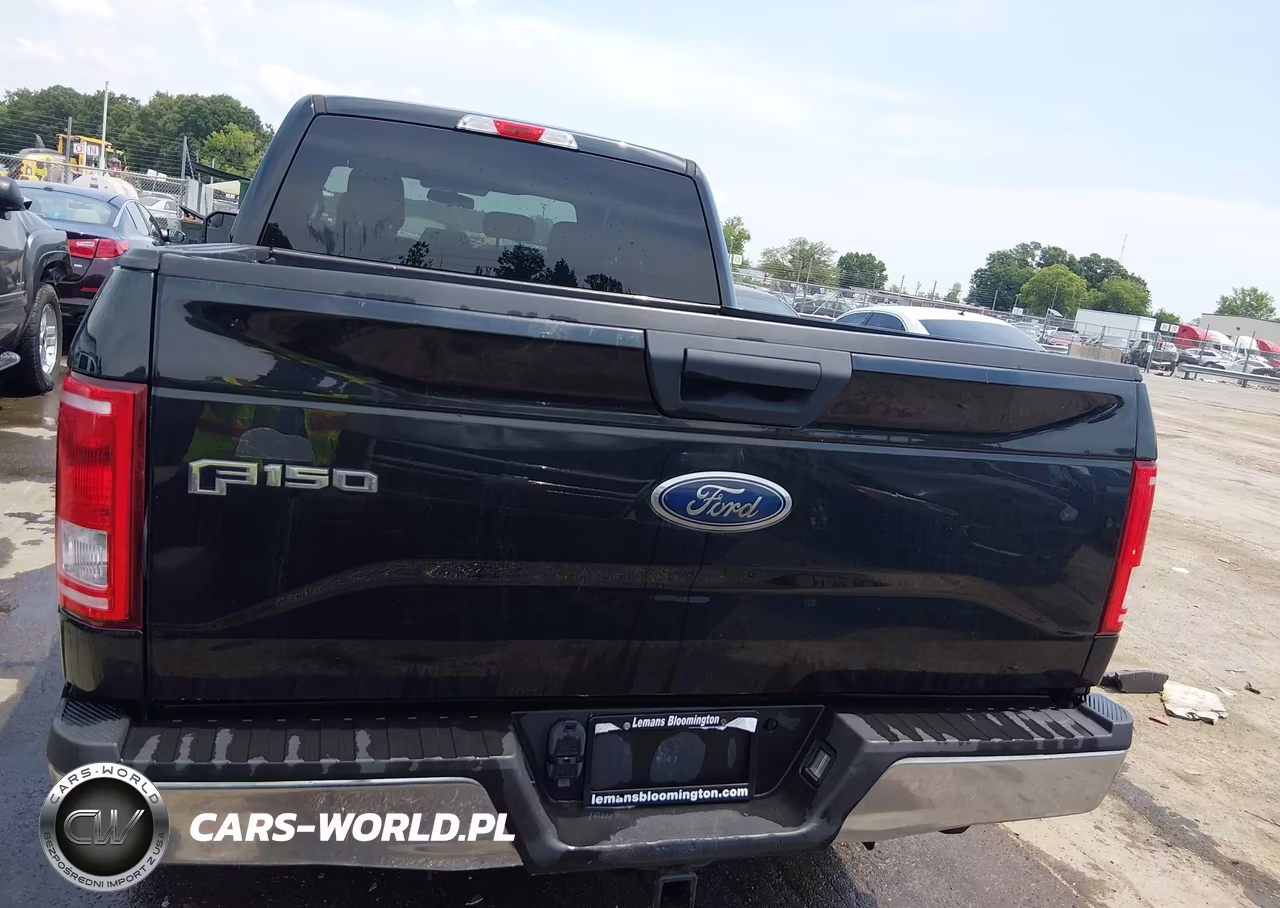 2015 Ford F-150 Xlt VIN:1FTFW1EG3FFA07227 - 16