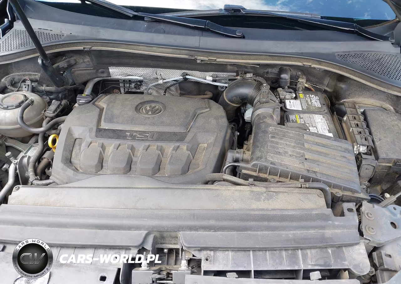 2019 Volkswagen Tiguan 2.0T S VIN:3VV0B7AX1KM099699 - 10