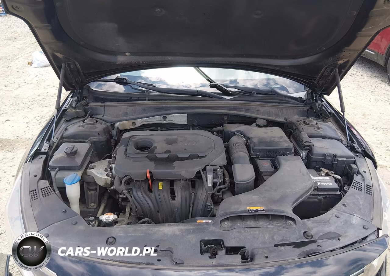 2016 Kia Optima Lx VIN:KNAGT4L39G5105553 - 10