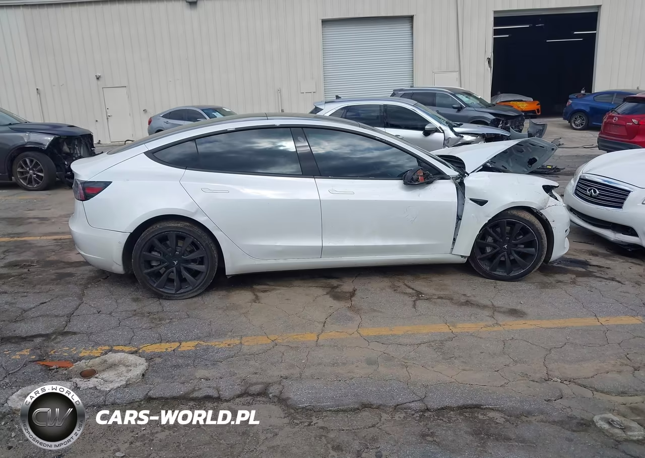 2019 Tesla Model 3 Long Range-Mid Range-Standard Range-Standard Range Plus VIN:5YJ3E1EA6KF474240 - 12