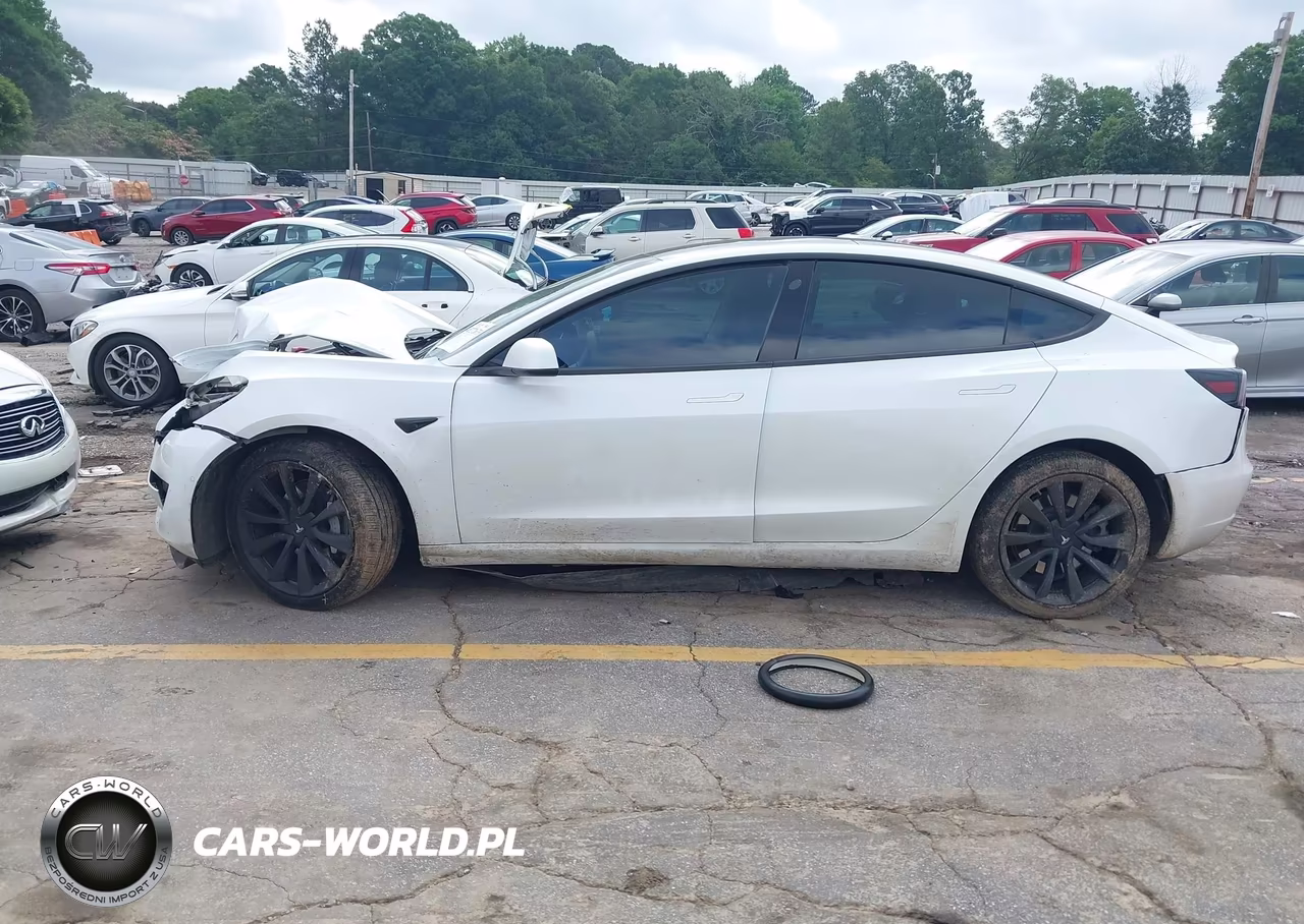 2019 Tesla Model 3 Long Range-Mid Range-Standard Range-Standard Range Plus VIN:5YJ3E1EA6KF474240 - 13