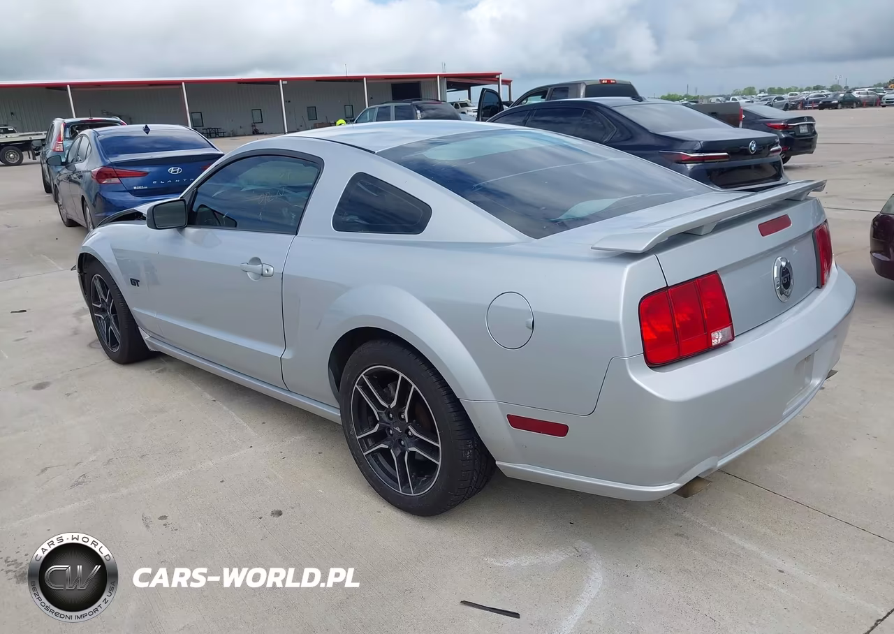 2005 Ford Mustang Gt Deluxe-Gt Premium VIN:1ZVHT82H355128445 - 3