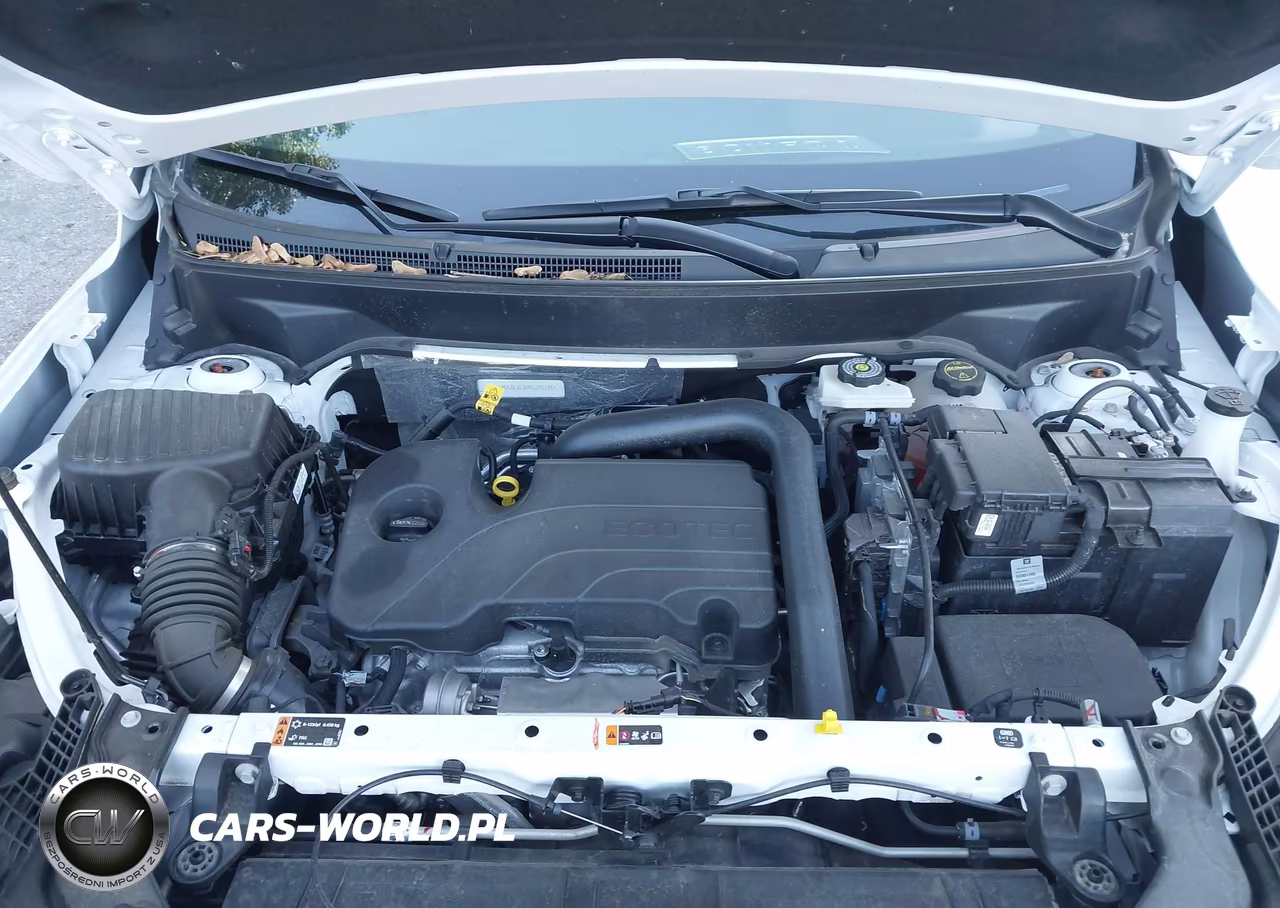 2024 GMC Terrain Slt VIN:3GKALVEG8RL230145 - 10