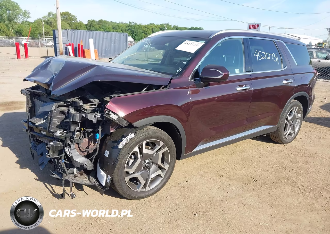 2024 Hyundai Palisade Limited VIN:KM8R5DGE9RU785167 - 2