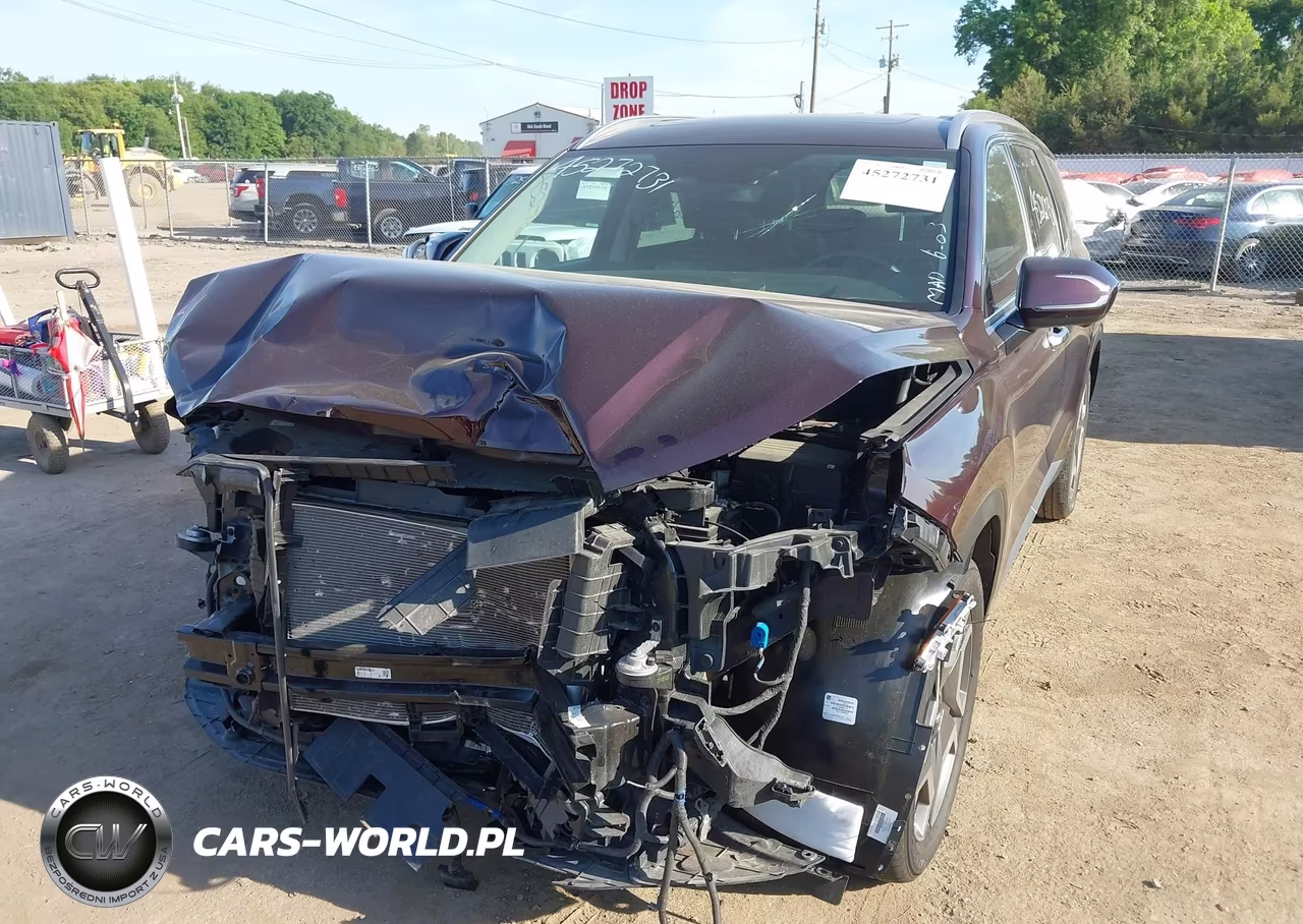 2024 Hyundai Palisade Limited VIN:KM8R5DGE9RU785167 - 6