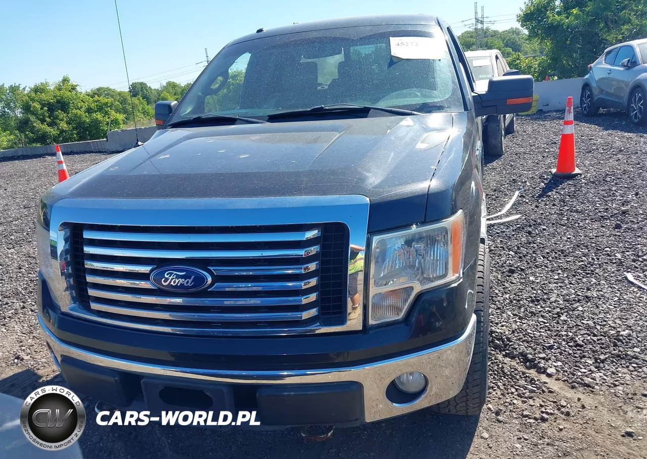 2012 Ford F-150 Xlt VIN:1FTFX1EF9CFA32875 - 12