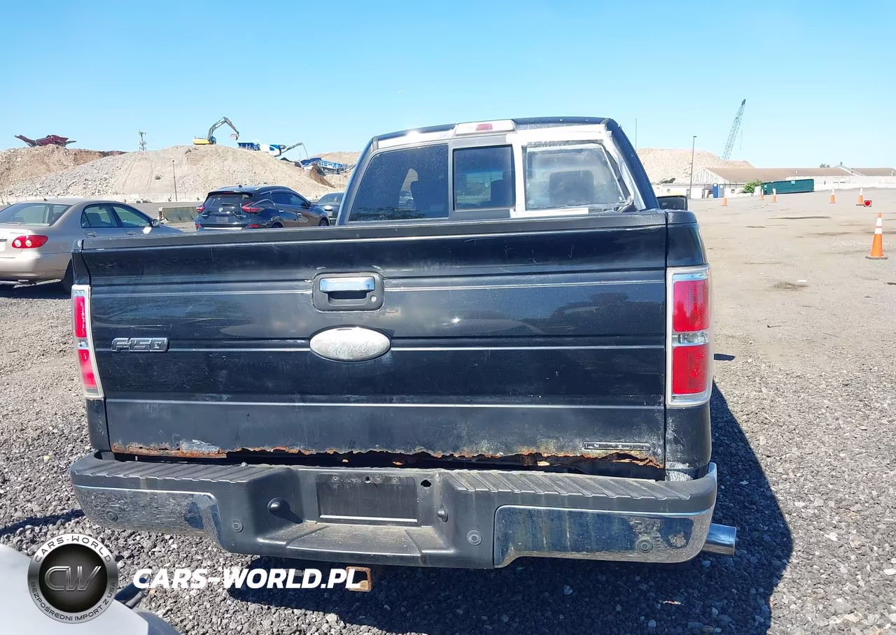 2012 Ford F-150 Xlt VIN:1FTFX1EF9CFA32875 - 16