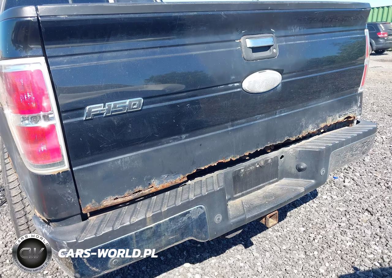 2012 Ford F-150 Xlt VIN:1FTFX1EF9CFA32875 - 17