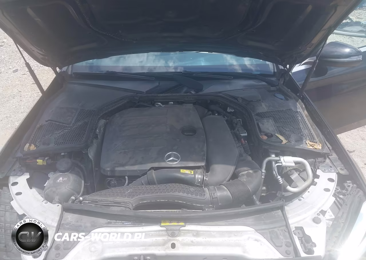 2019 Mercedes-Benz C 300 VIN:55SWF8DB3KU309273 - 10