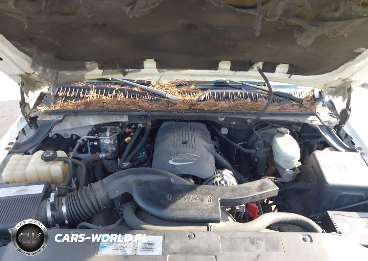 2003 Chevrolet Tahoe Z71 VIN:1GNEK13Z73R237284 - 10
