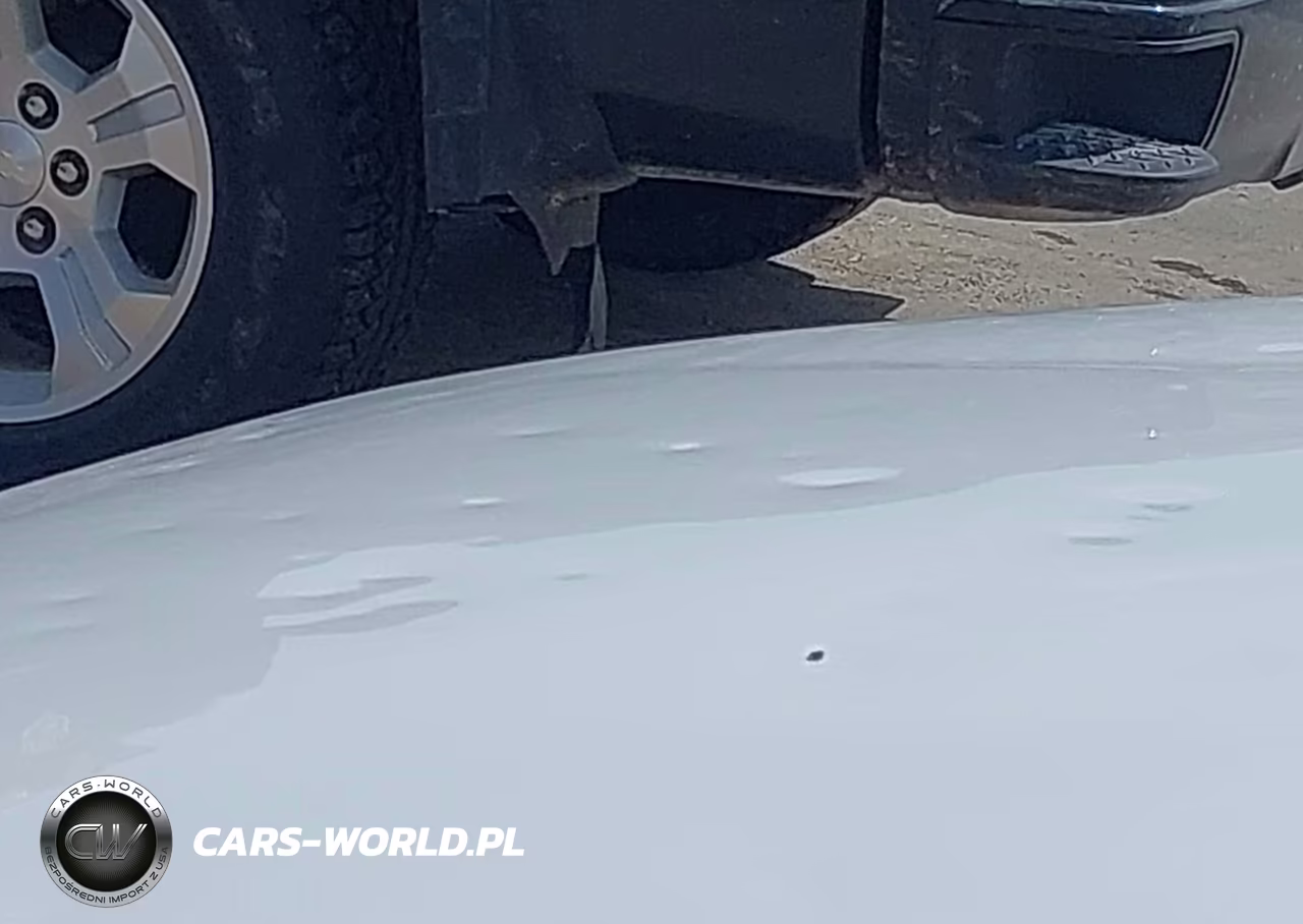 2021 Jeep Cherokee Altitude 4X4 VIN:1C4PJMLB4MD168402 - 17