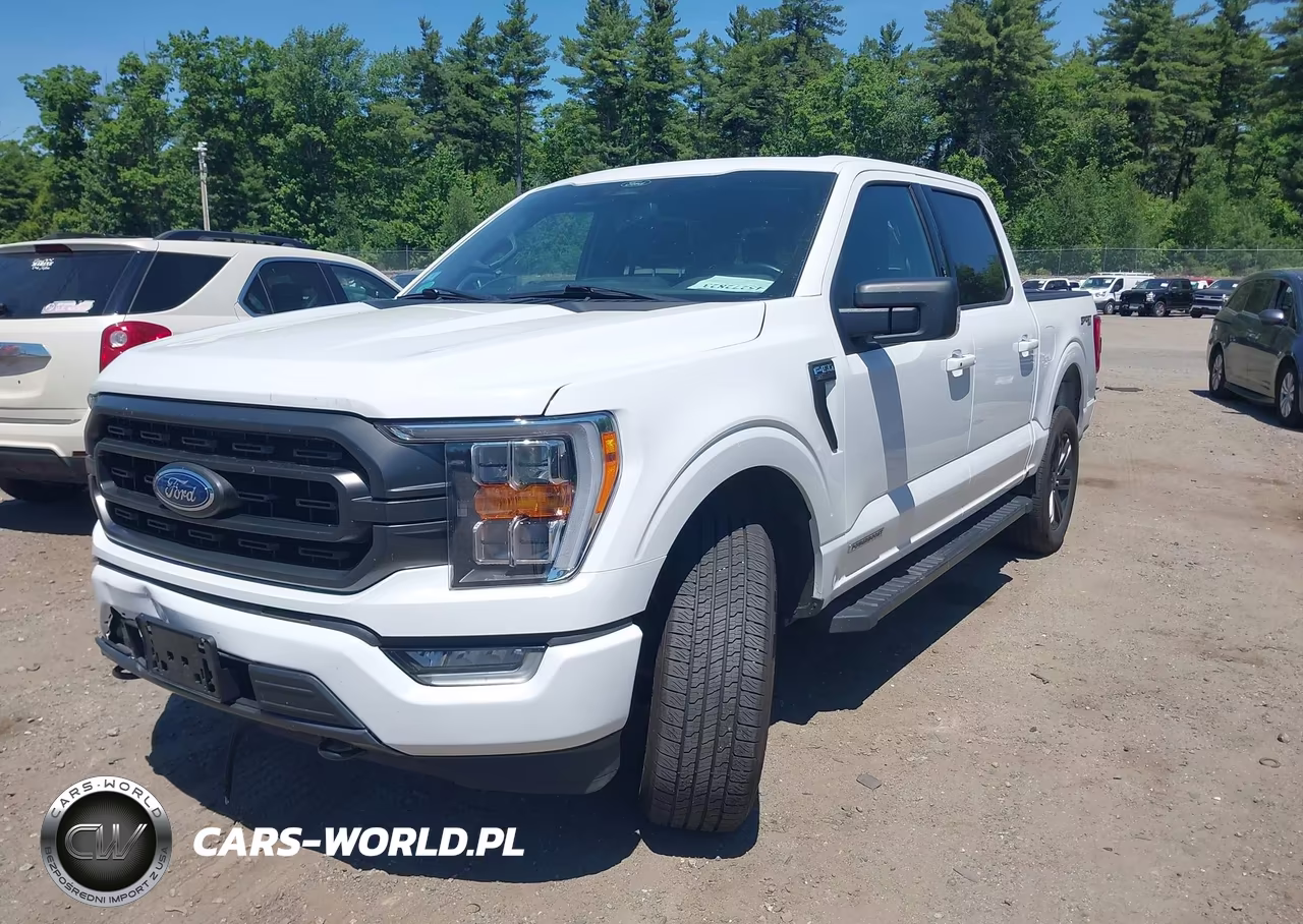2022 Ford F-150 Xlt VIN:1FTFW1EDXNFC42731 - 2