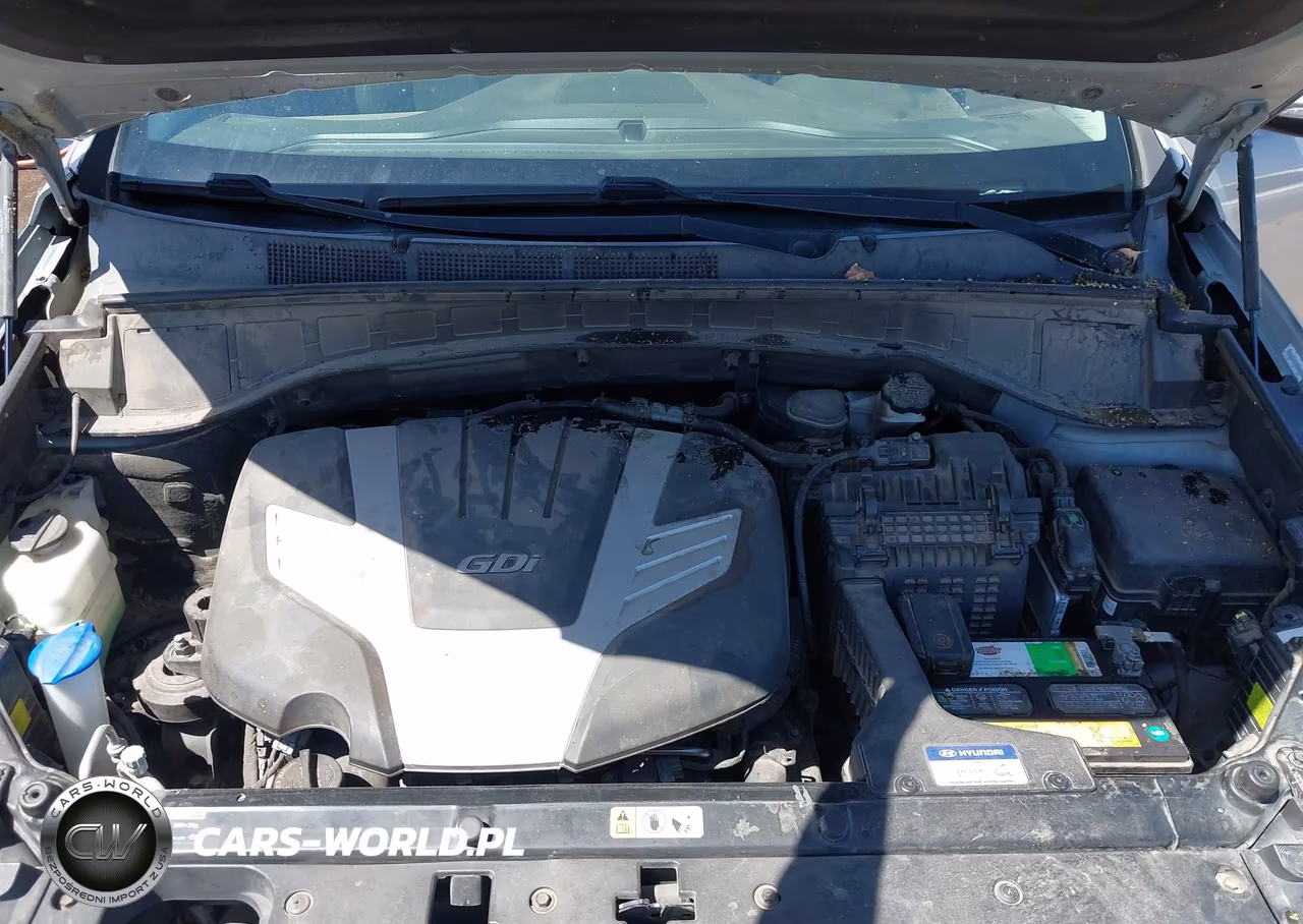 2014 Hyundai Santa Fe Limited VIN:KM8SRDHF3EU054404 - 10