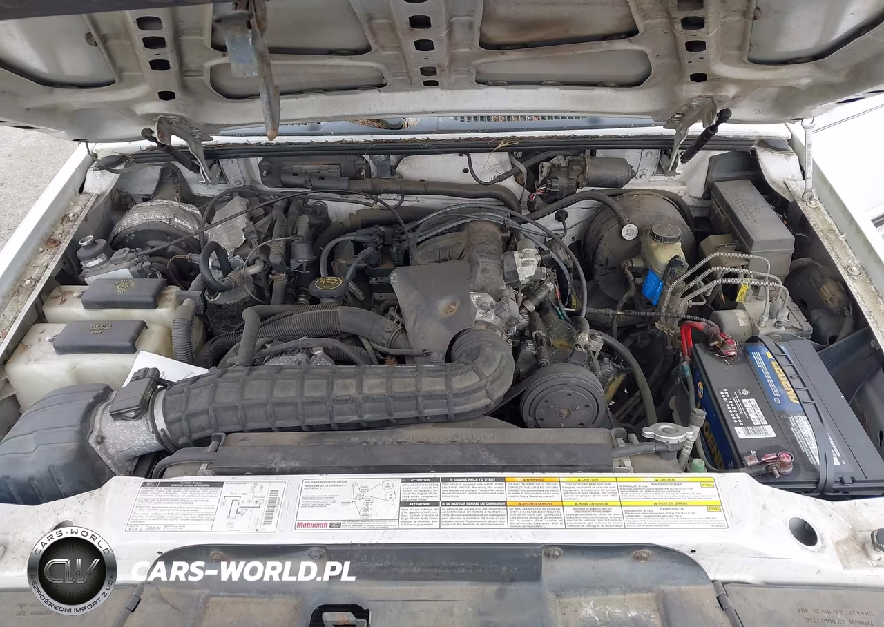 1998 Ford Explorer Eddie Bauer-Limited-Xl-Xlt VIN:1FMZU34X2WZA52119 - 10