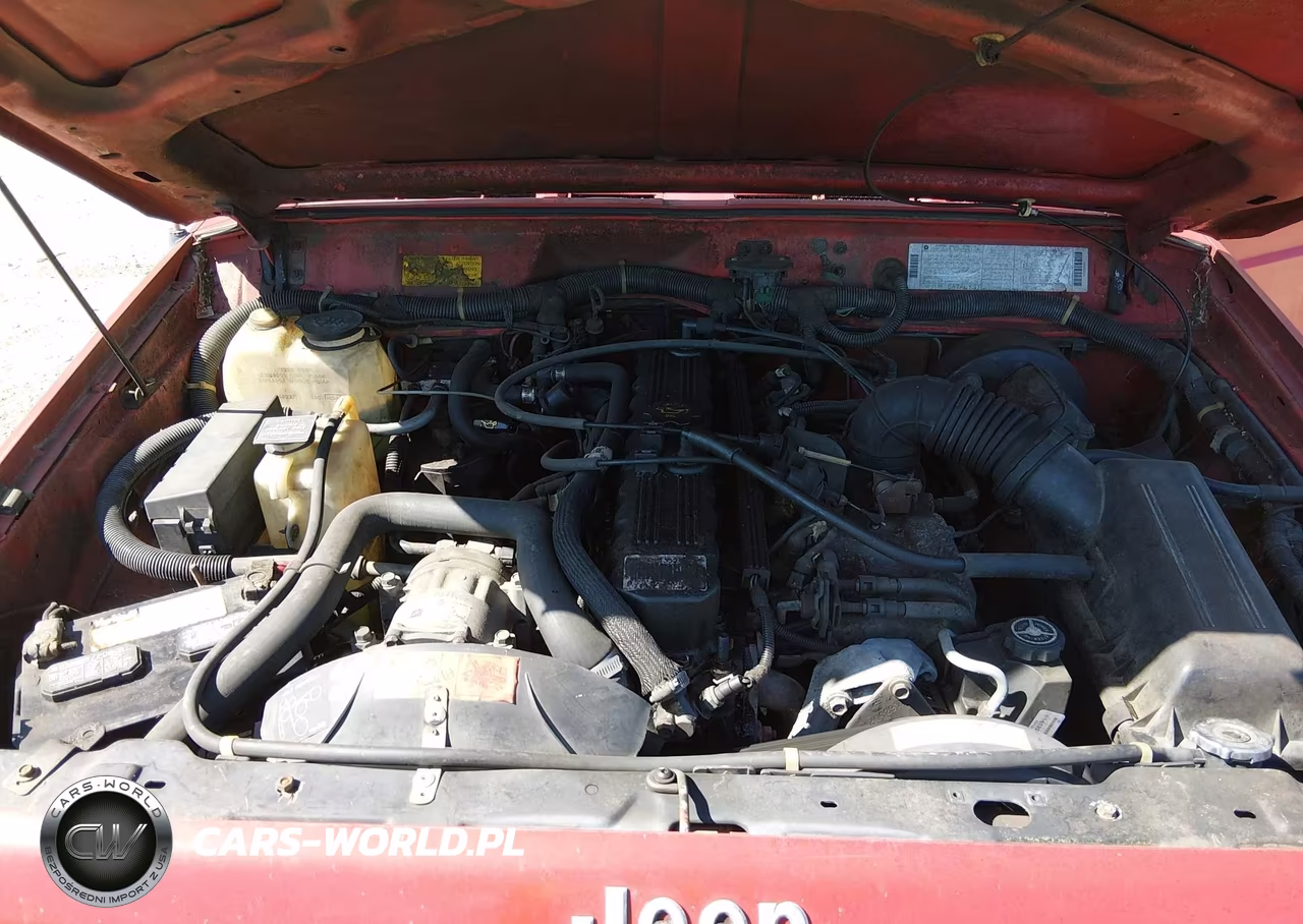 1994 Jeep Cherokee Sport VIN:1J4FT68S8RL141902 - 10