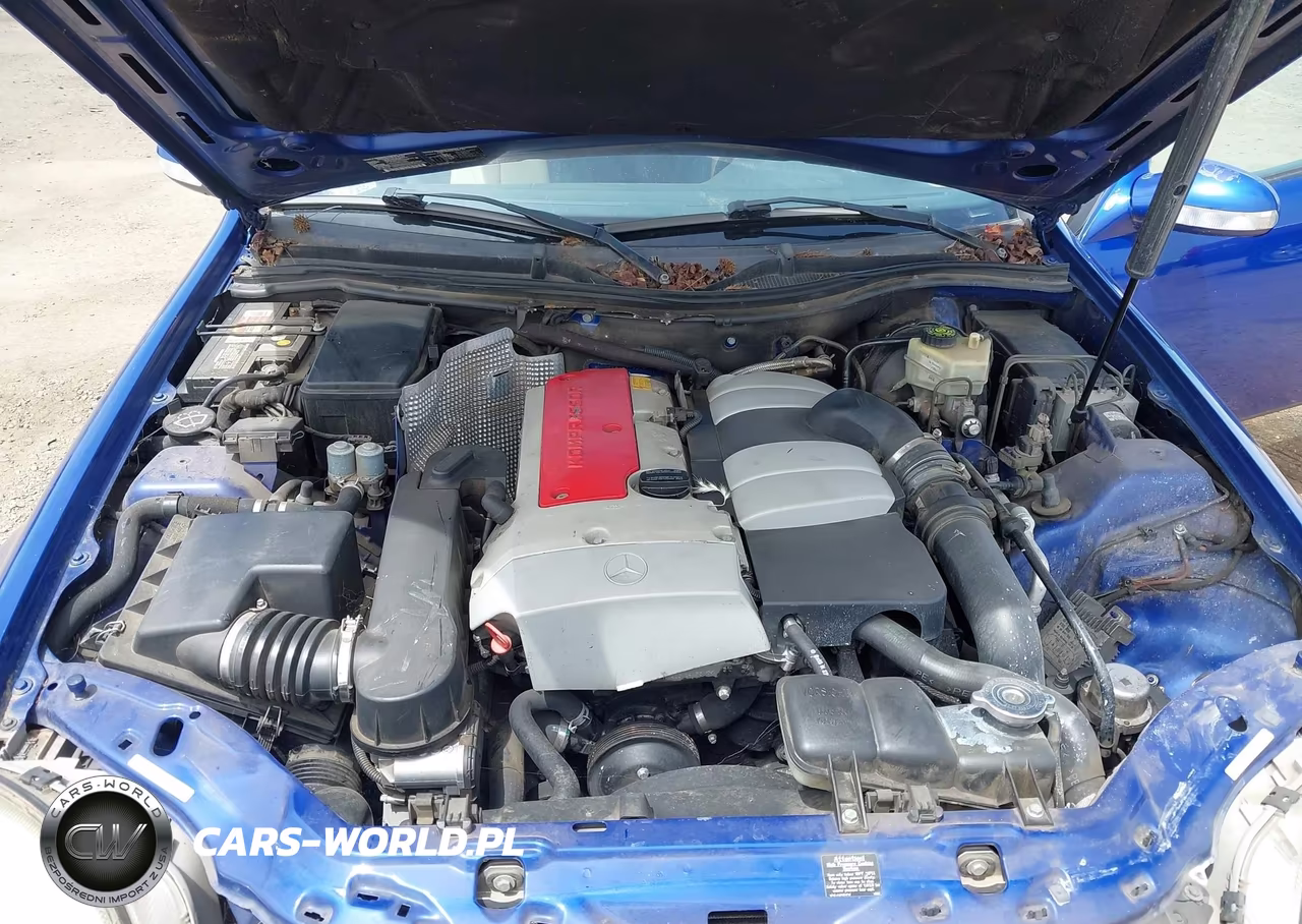 2001 Mercedes-Benz Slk 230 Kompressor VIN:WDBKK49F31F225107 - 10