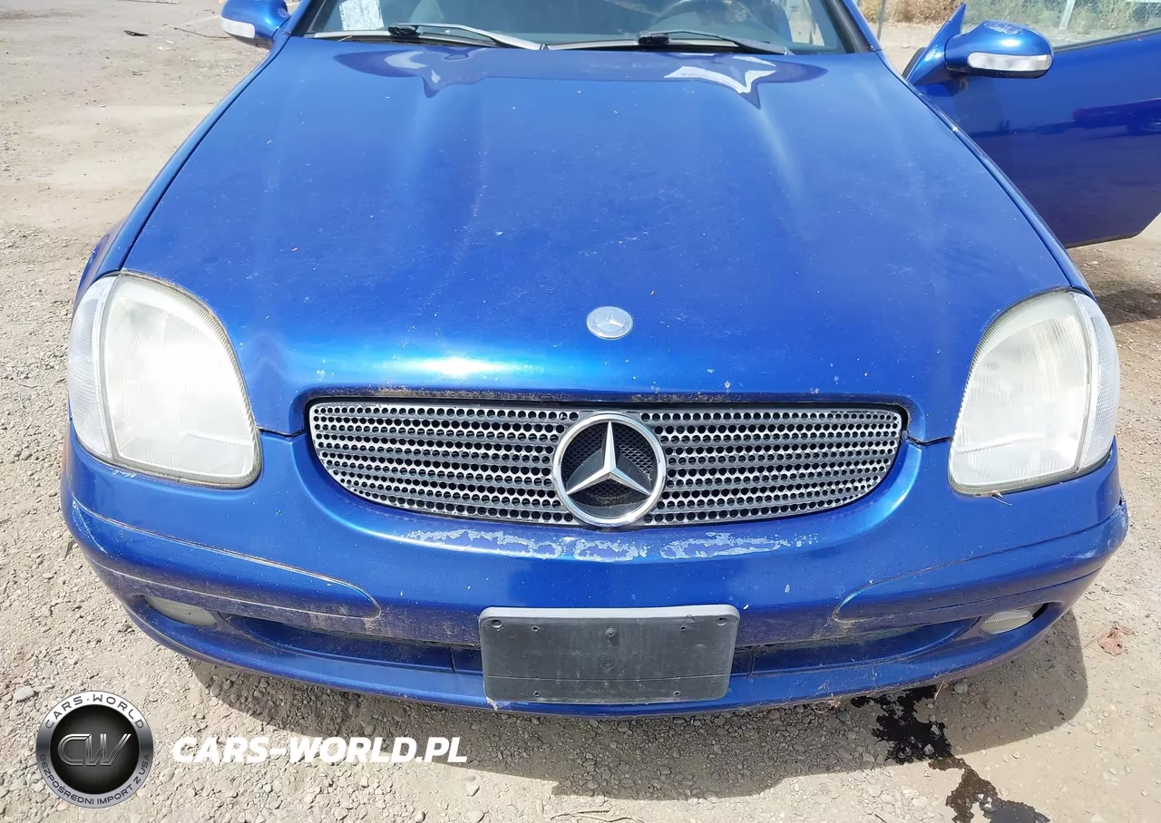 2001 Mercedes-Benz Slk 230 Kompressor VIN:WDBKK49F31F225107 - 6