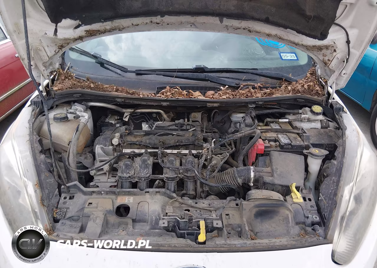 2014 Ford Fiesta Se VIN:3FADP4BJ2EM228361 - 10
