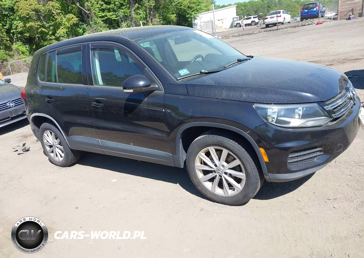 2014 Volkswagen Tiguan Se