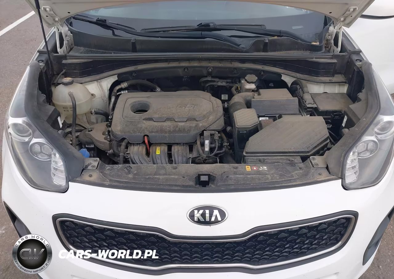 2017 Kia Sportage Lx VIN:KNDPM3AC7H7074371 - 10