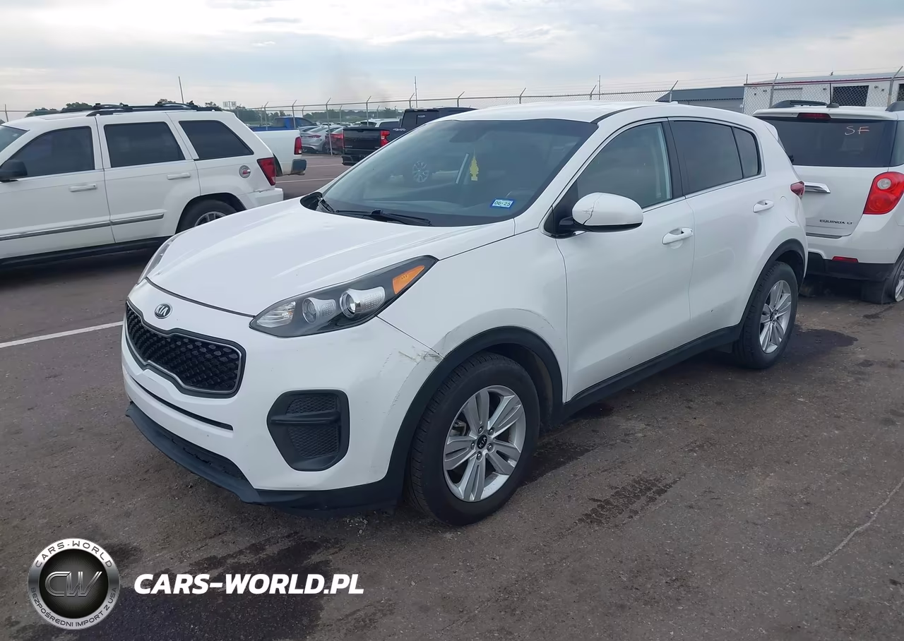 2017 Kia Sportage Lx VIN:KNDPM3AC7H7074371 - 2