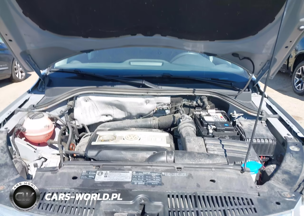 2010 Volkswagen Tiguan S VIN:WVGBV7AX0AW527870 - 10