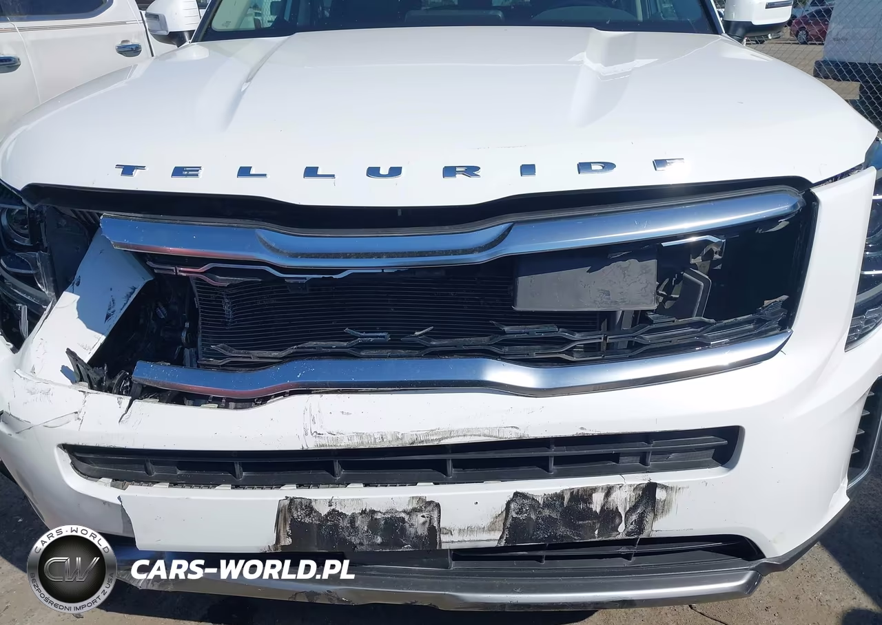 2020 Kia Telluride S VIN:5XYP64HC1LG014734 - 12
