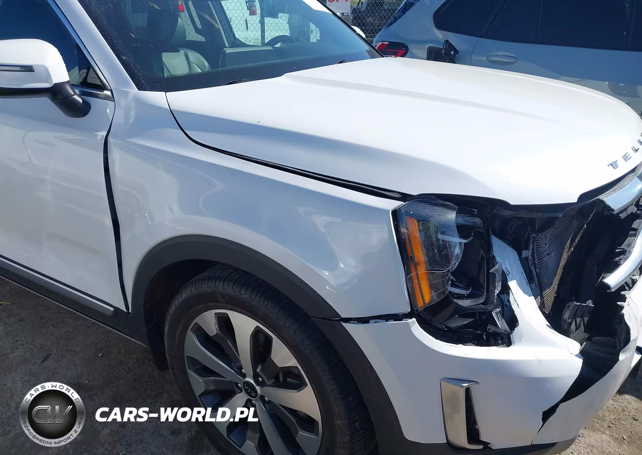 2020 Kia Telluride S VIN:5XYP64HC1LG014734 - 13