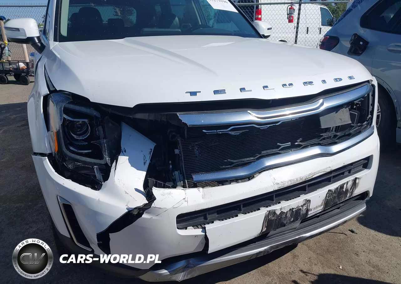 2020 Kia Telluride S VIN:5XYP64HC1LG014734 - 6
