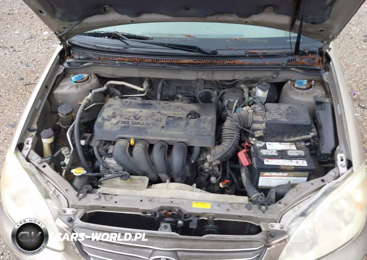 2004 Toyota Corolla Le VIN:1NXBR32E94Z312479 - 10