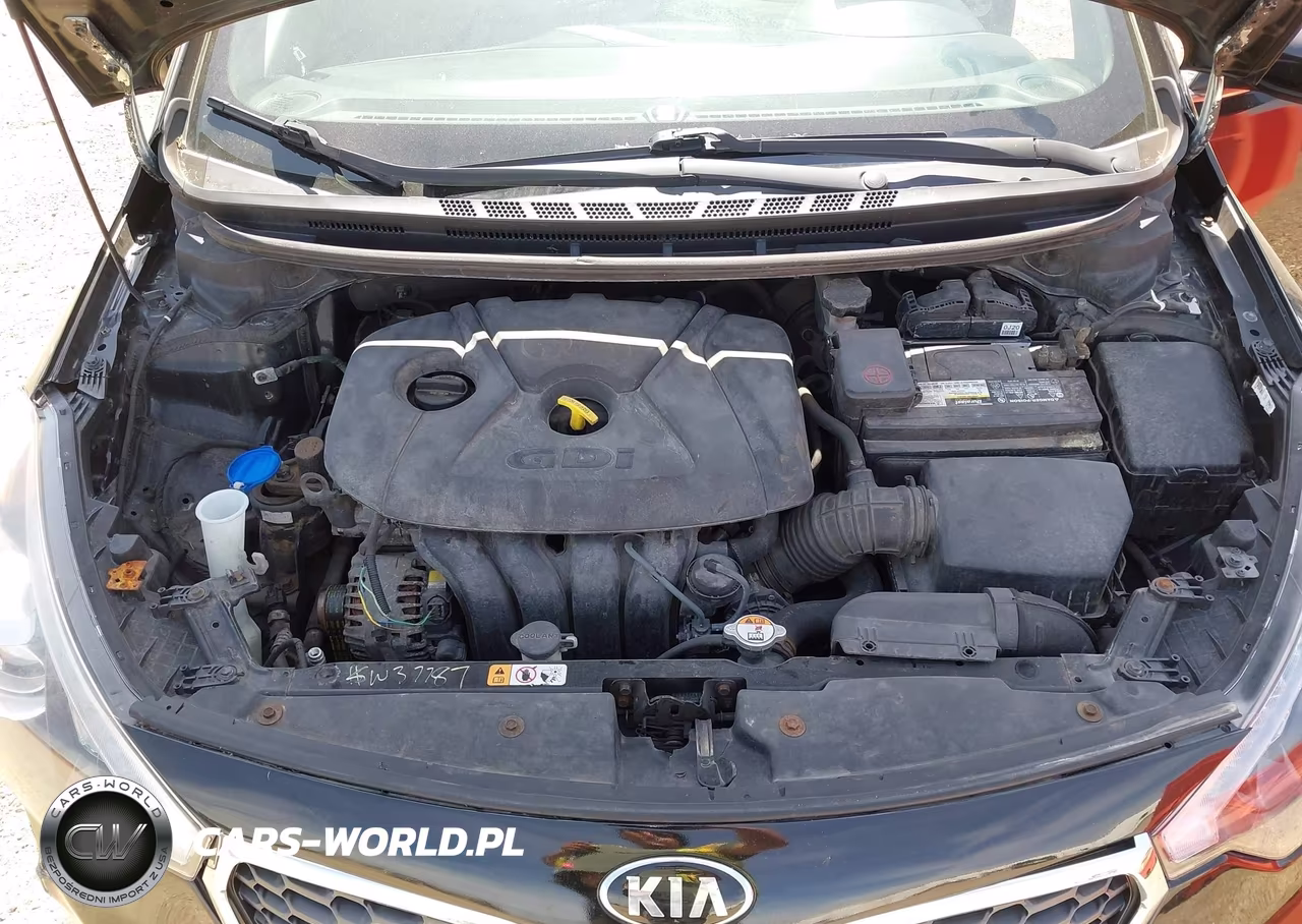 2014 Kia Forte Ex VIN:KNAFX4A88E5206272 - 10