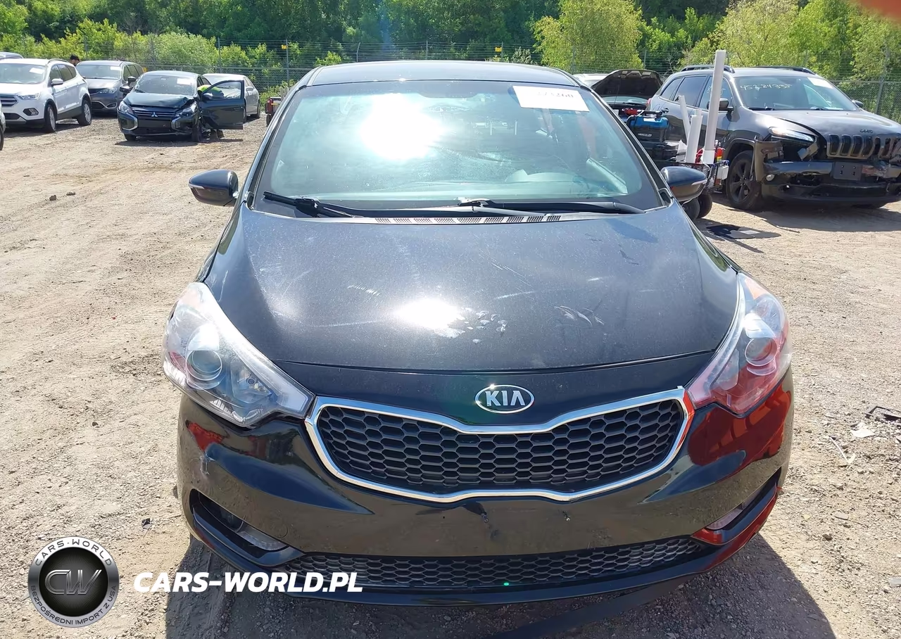 2014 Kia Forte Ex VIN:KNAFX4A88E5206272 - 12
