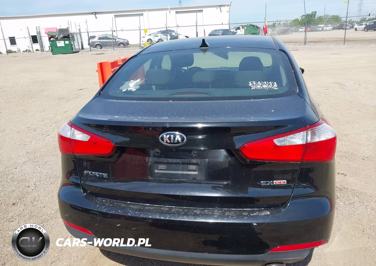 2014 Kia Forte Ex VIN:KNAFX4A88E5206272 - 16