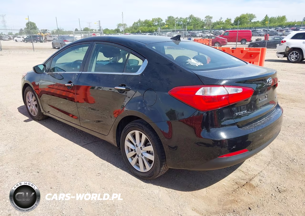 2014 Kia Forte Ex VIN:KNAFX4A88E5206272 - 3